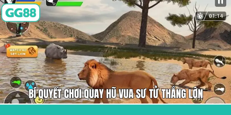 Bí quyết chơi quay hũ Vua Sư Tử thắng lớn