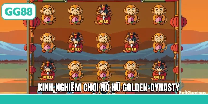 Kinh nghiệm hữu ích khi tham gia game nổ hũ Golden Dynasty 