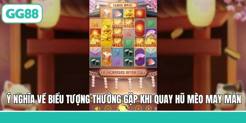 Ý nghĩa về biểu tượng thường gặp khi quay hũ mèo may mắn