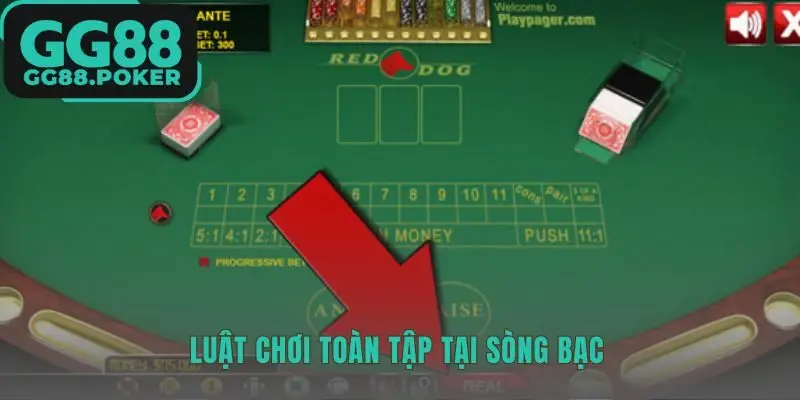 Luật chơi Red Dog GG88 xoay quanh quyết định Tố hay Theo